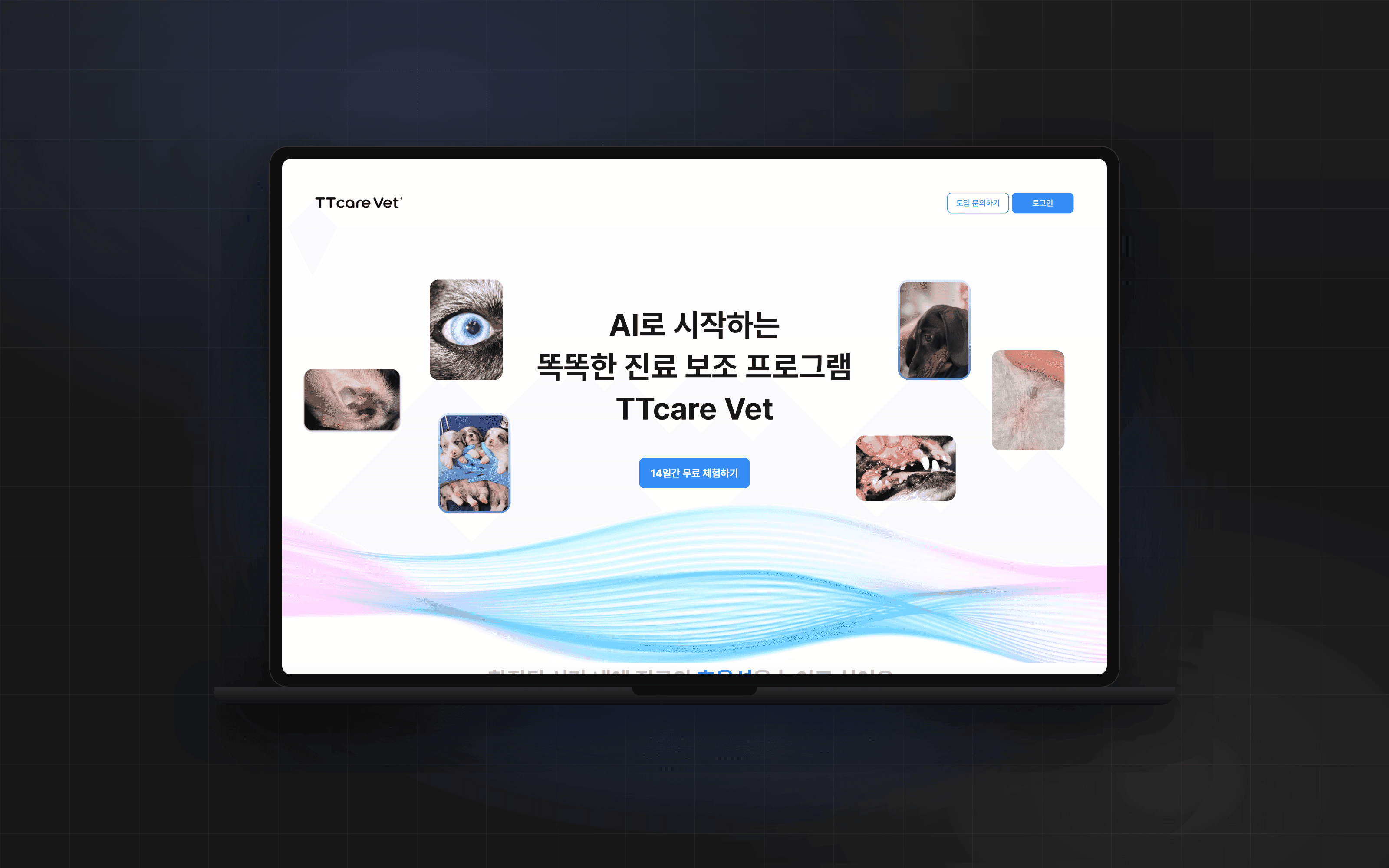 TTCARE VET 프로젝트 이미지 1