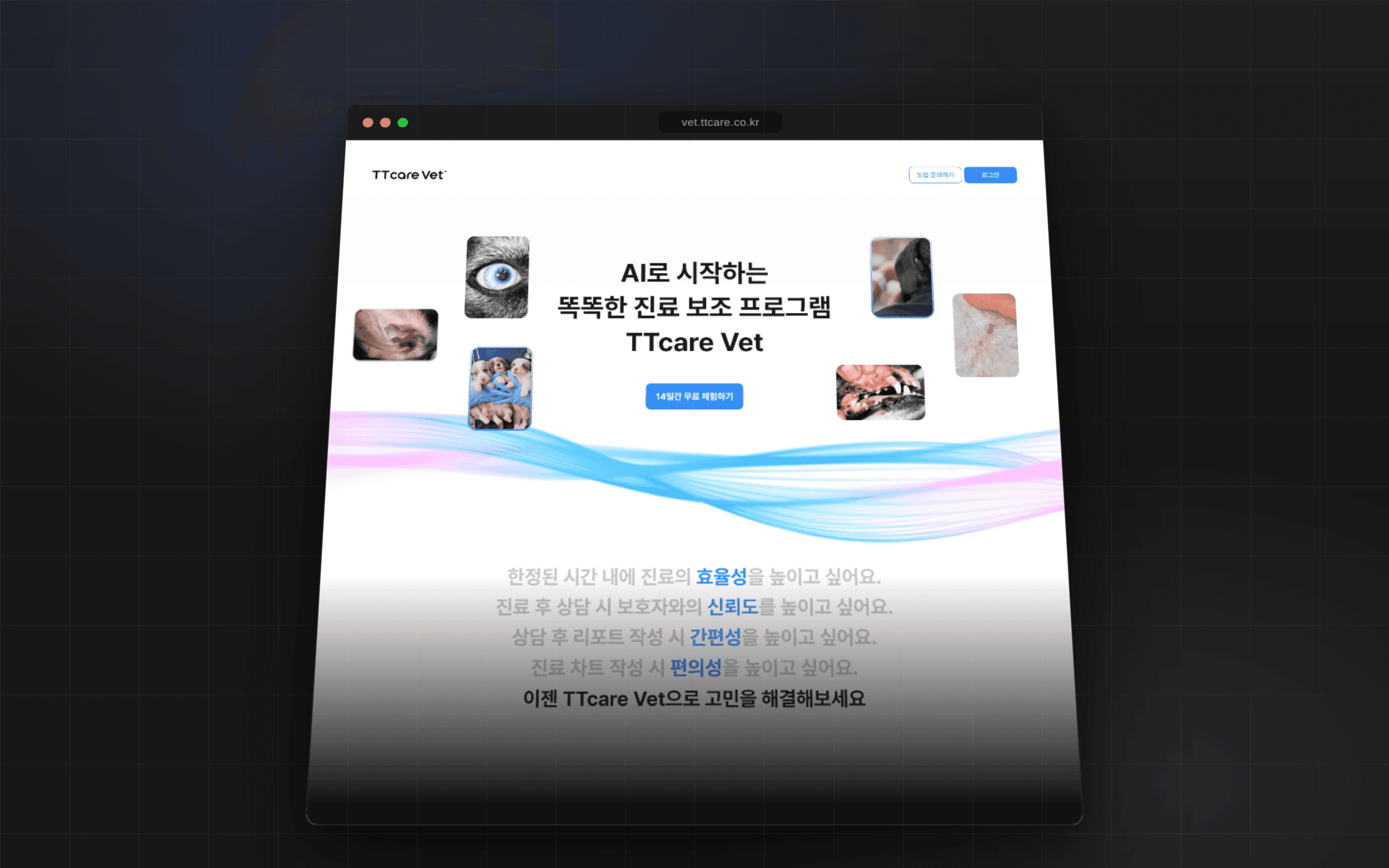 TTCARE VET 프로젝트 이미지 4